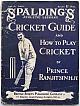 CRICKET GUIDE AND HOW TO PLAY CRICKET.