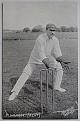 An original full-length postcard photograph of F. Huish keeping wicket.