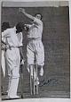 An original full-length Central Press photograph of Gubby Allen bowling in 1936.